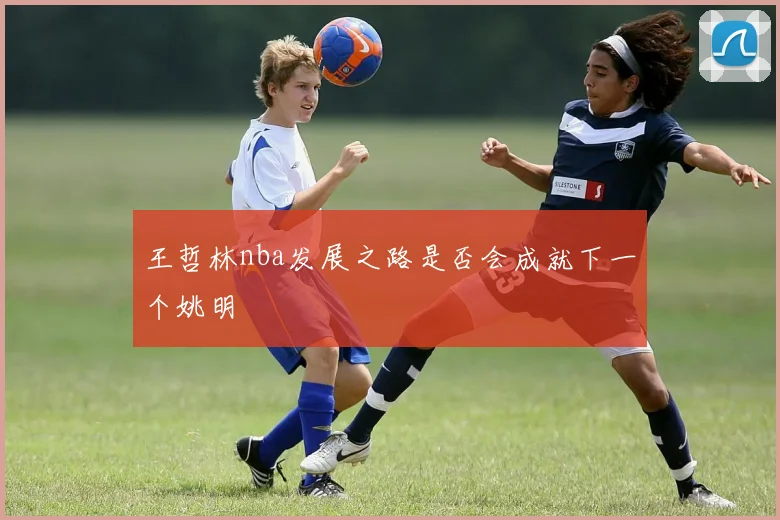 王哲林nba发展之路是否会成就下一个姚明