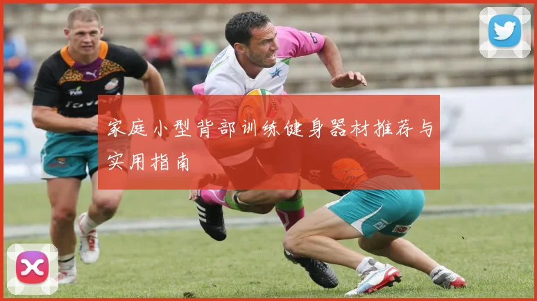 家庭小型背部训练健身器材推荐与实用指南