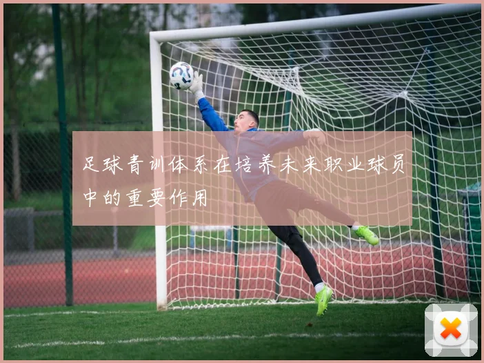 足球青训体系在培养未来职业球员中的重要作用