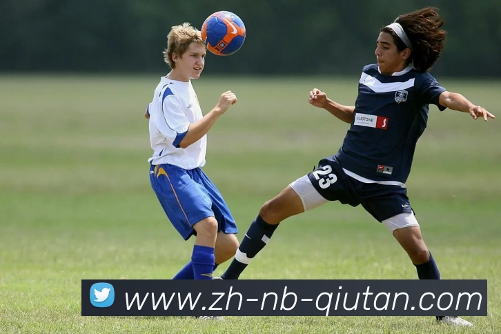 球探体育平台生态图